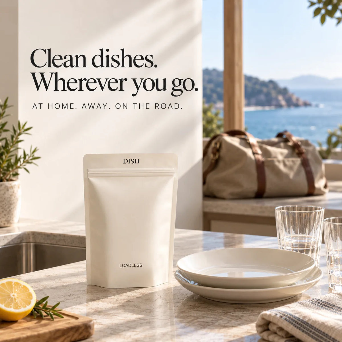 Dish